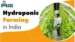 Hydroponic Farming in India- Definition & Types 