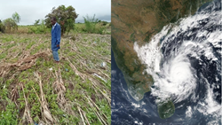 Impact of Cyclones on Agriculture: How to Tackle the Damage? 