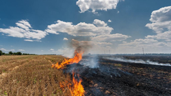 Kurukshetra District Fines 116 Farmers for Crop Residue Burning Amid Concerns Over Air Quality