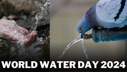 World Water Day: A Reflection on Global and Indian Water Challenges