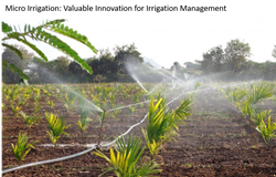 Micro Irrigation: Valuable Innovation for Irrigation Management