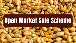 Open Market Sale Scheme: Bridging Gaps and Balancing Prices