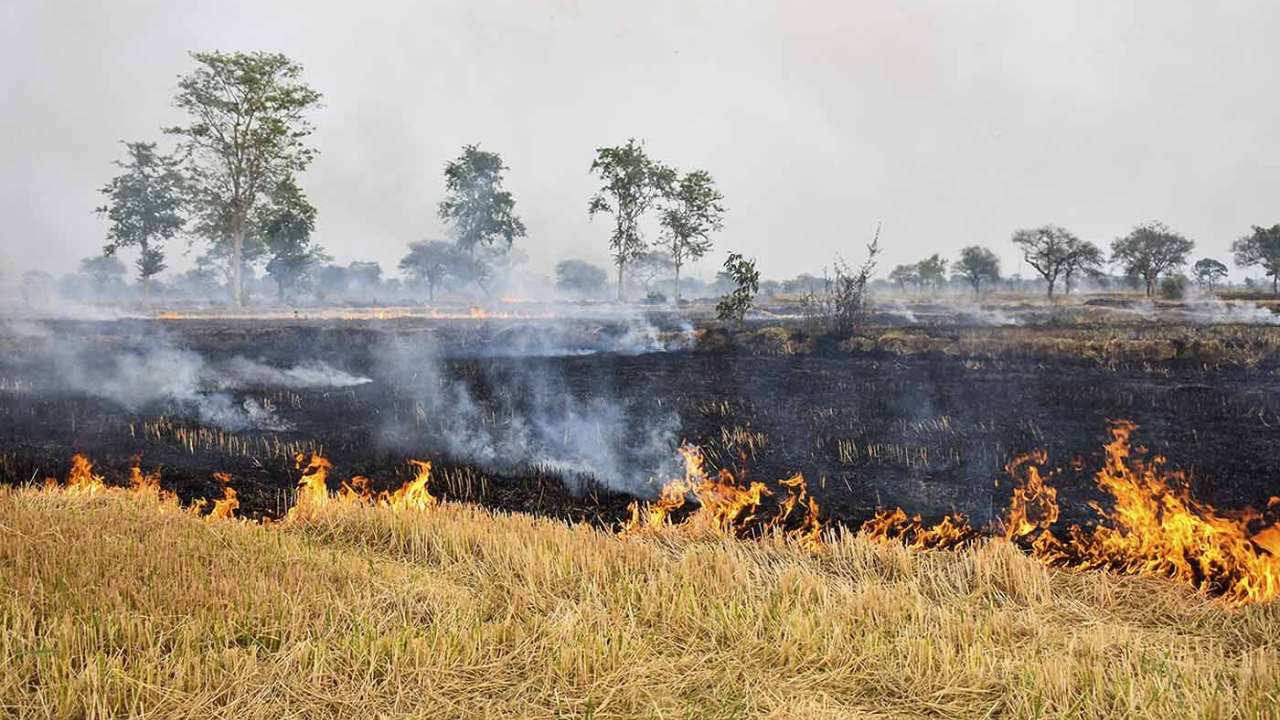 Godrej Properties Crop Residue Management Initiative Achieves Zero   Stubble Burning 