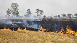 Godrej Properties’ Crop Residue Management Initiative Achieves Zero Stubble Burning in 15 Villages of Punjab