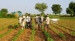 Hyderabad: Come up with technology and agricultural solutions that will change farmers Challenges