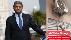 Use Air Conditioner Water for Home Plants, Anand Mahindra Suggests Innovative Solution to Water Shortage: VIDEO