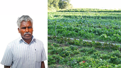  Tamil Nadu Farmer Doubles Income with Organic Farming, Becomes Advisor to Others