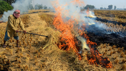 Govt Revises Crop Residue Management Guidelines in Punjab, Haryana, UP, & Delhi to Combat Straw Burning