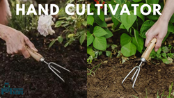 Hand Cultivator, A Must-Have Tool for Every Gardener- Uses, Benefits, & Maintenance