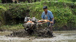 According To New Study, Mini-Tillers Benefits Nepalese Maize Farmers Increase Their Food Supplies And Profits