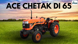 ACE Chetak DI 65 Tractor:  Top Features, Specifications, & More