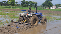 Puddling in Paddy Fields: Techniques, Benefits, and Machinery Used in India