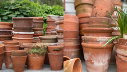 Top 5 Reasons to Choose Terracotta Pots: The Perfect Choice for Planting