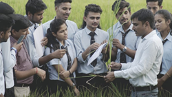 Agriculture Now a Mandatory Subject for Classes 6 to 8