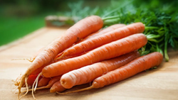  Here are the Top 10 Companion Plants for Carrots- Plant the Best Crops