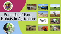 Potential Of Farm Robots In Agriculture Sector
