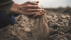 Reasons Why You Should Cherish The Soil Under Your Feet 