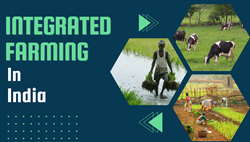 Integrated Farming- Characteristics, Benefits & More