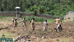 Maharashtra Will Implement Modern Farm Equipment In Prison Farming