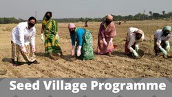Seed Village Programme: Detailed Guidelines 