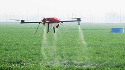 Revolutionizing Agriculture: Punjab Farmers Embrace Drones for Pesticide Spraying