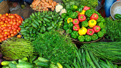 Top 22 Vegetables to Cultivate in November in India