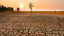 ALERT: Agricultural Sector To Be Hit By Double Whammy Of Heat And El Nino