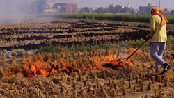 District Administration Urges Farmers to Stop Burning Wheat Residue, Promote Sustainable Practices