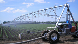 Farmers Invest In This Lateral Irrigation System For Simplified Farming  
