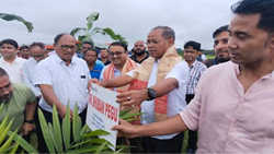 National Mission for Edible Oils: India Launches Mega Oil Palm Plantation Drive to Achieve Self-Sufficiency in Oil Production