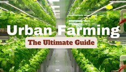 Urban Farming: Types, Process, and Benefits.