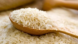 India's Export Duty on Parboiled Rice Sparks Shipping Delays, Fears of Supply Shortages