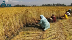 FJCCI Prepares to Protest Against Jharkhand State Agri Bill