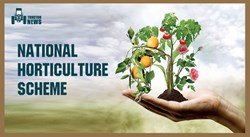National Horticulture Mission - A Mission for Holistic Horticultural Growth