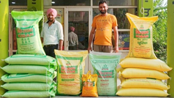 Cabinet Approves Nutrient-Based Subsidy Rates for Rabi Season 2023-24 on P&K Fertilizers