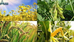 Profitable Crops to Grow In The Month of April And Their Required Machinery