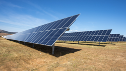 Agrivoltaic Project Is All Set To Become New Zealand’s First Utility-Scale Solar Farm