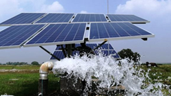 Punjab Falls Behind in Utilizing Central Scheme for Solar-Powered Agri Pumps