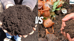 Comparison for Cold Composting Vs Hot Composting