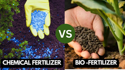 Chemical Fertilizer Vs Bio Fertilizer – Which is the Best Choice?