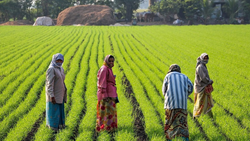 Increased Budgetary Allocation To Puducherry's Agriculture Sector