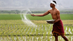 Odisha Govt. Amends Guidelines for Agri-Entrepreneurs Capital Investment Subsidy Eligibility