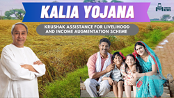 KALIA Yojana: Interest-Free Crop Loans Upto Rs. 50,000, Know About Eligibility Criteria, Features, & Benefits