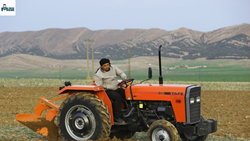 TAFE 45 DI 2WD Tractor: 2023, Price, Features, and More 
