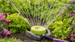 Best Ways For Conserving Water By Farmers