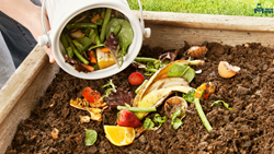 Know All About COLD Composting - Its Benefits, Application and Methods