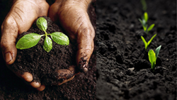 Soil Quality, Maintenance Tips, and Its Assessment Methods Used in Agriculture