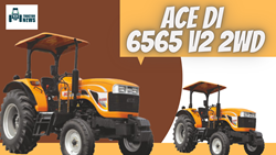 Ace DI 6565 V2 2WD- Price, Features, & Specifications