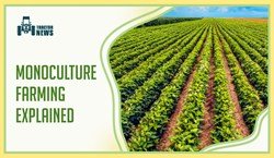 Monoculture Farming- Know About its Pros And Cons 
