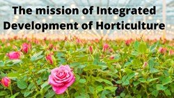 The Mission for Integrated Development of Horticulture (MIDH)
